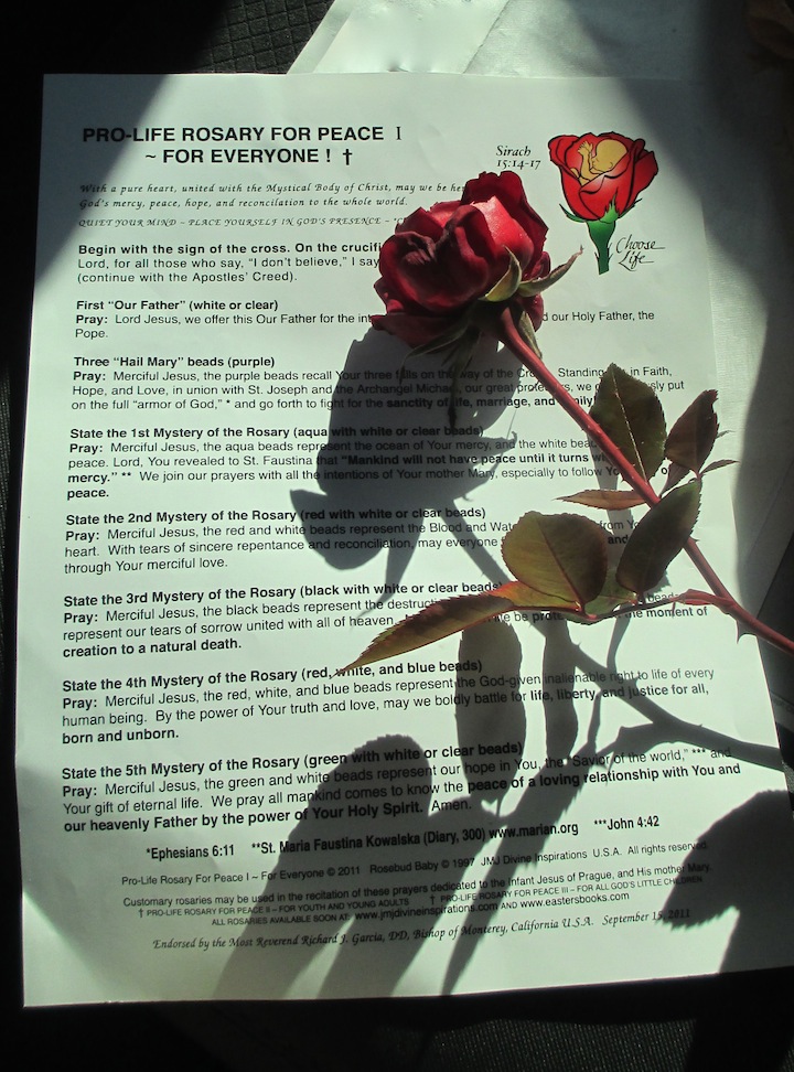 Rose-RosaryForPeace1_07-01-2014